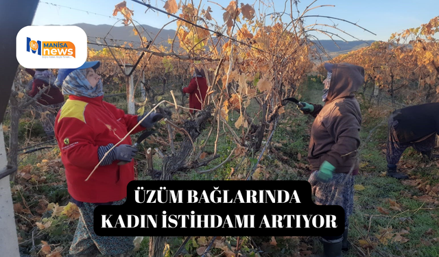 Üzüm bağlarında kadın istihdamı artıyor