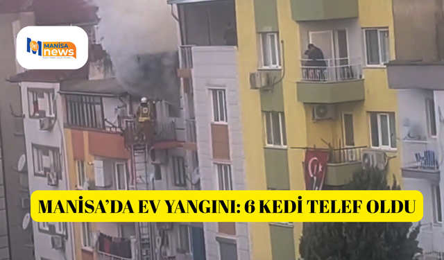 Manisa’da ev yangını: 6 kedi telef oldu