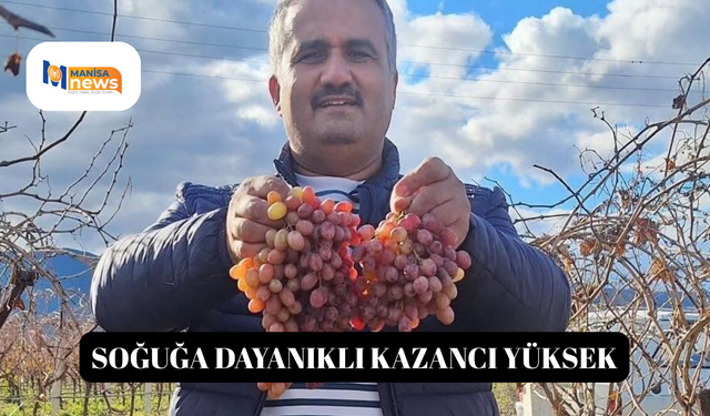 Soğuğa dayanıklı kazancı yüksek