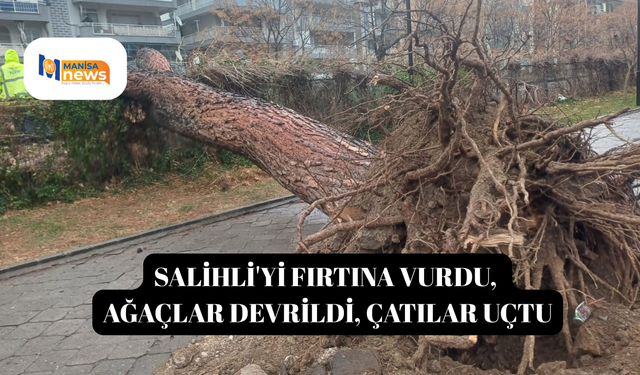 Salihli'yi fırtına vurdu, ağaçlar devrildi, çatılar uçtu