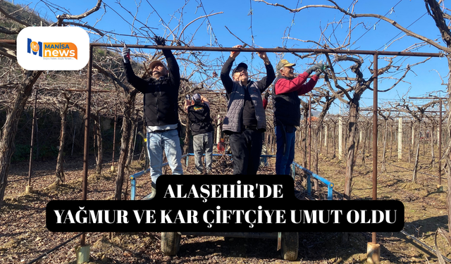 Alaşehir'de yağmur ve kar çiftçiye umut oldu