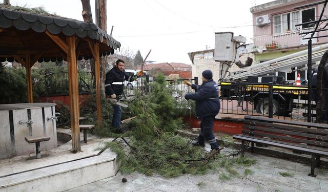 Şehzadeler Belediyesi’nin budadığı dallar ihtiyaç sahiplerinin ocağını ısıtıyor
