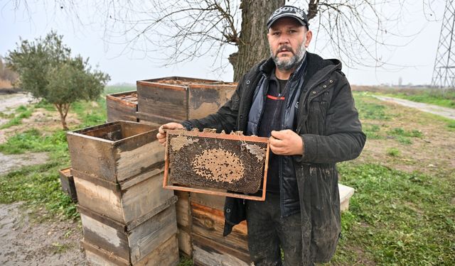 Kovanları sele kapılan Salihlili arıcıya, büyükşehirden destek