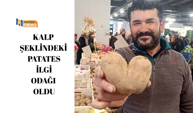Kalp şeklindeki patates ilgi odağı oldu