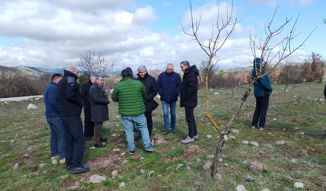 Yuntdağı’nda kırsal kalkınma atağı