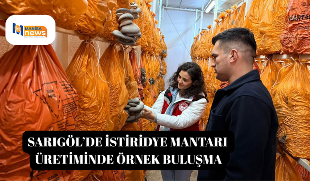 Sarıgöl’de istiridye mantarı üretiminde örnek buluşma