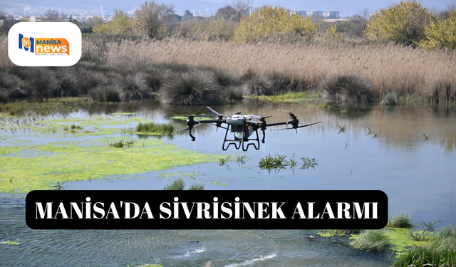 Manisa'da sivrisinek alarmı