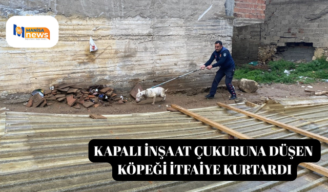 Kapalı inşaat çukuruna düşen köpeği itfaiye kurtardı