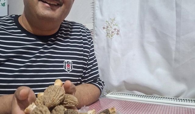 Doğanın 'Et lezzeti' Kuzugöbeği sofralarda