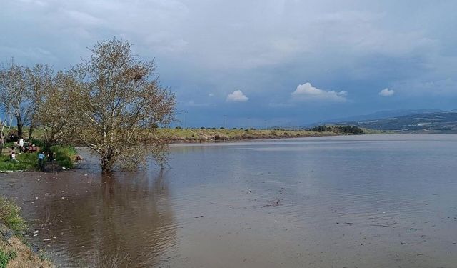 Sarıgöl Ovası’nda su sevinci