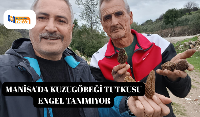 Manisa'da kuzugöbeği tutkusu engel tanımıyor