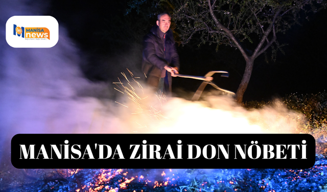 Manisa'da zirai don nöbeti