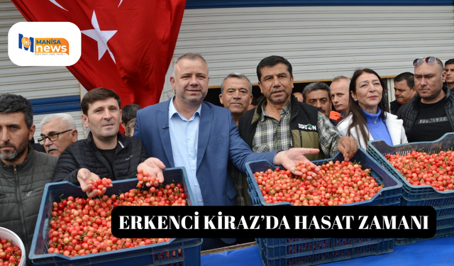 Erkenci Kiraz’da Hasat Zamanı