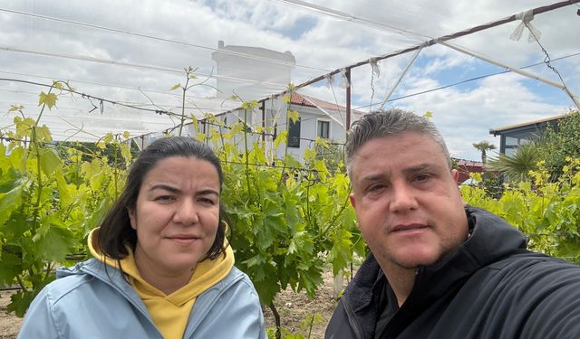 Laboratuvar sonuçları "pestisit yok" dedi, başarı tescillendi