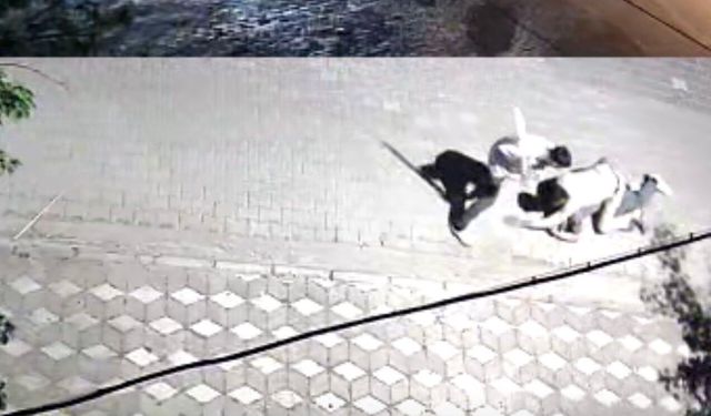 Manisa'da kız meselesi kavgası: 6 yerinden bıçaklandı