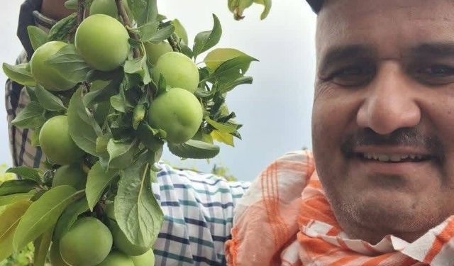 Yaz meyvelerinde bereket üreticinin yüzünü güldürdü