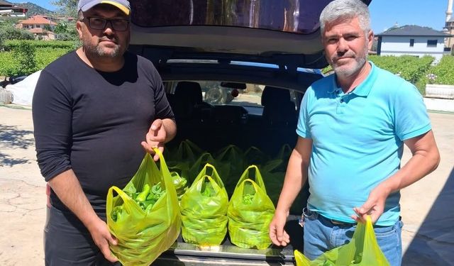 Sarıgöl’ün meşhur Emcelli biberi gurbetçilerin gözdesi oldu