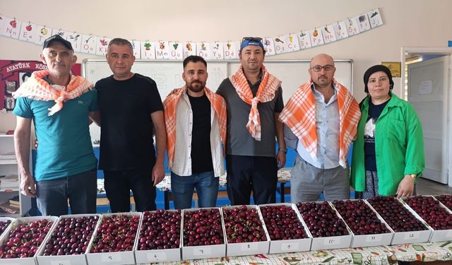 Binlerce insan Kiraz Festivali için Börez'e akın etti