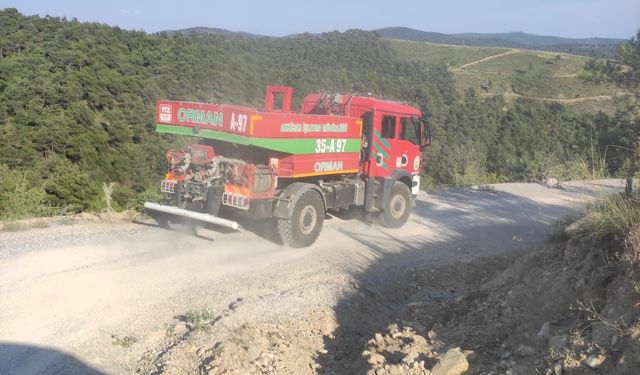 Akhisar’da korkutan orman yangını