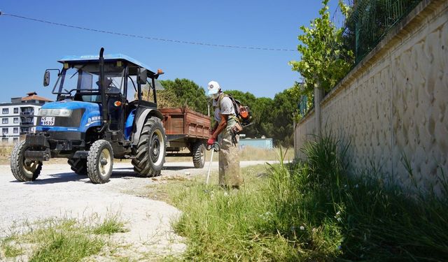 Karaali’de yol kenarları temizlendi