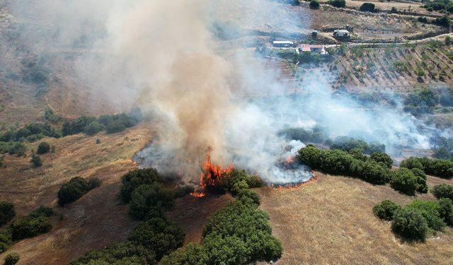 Makilik alanda yangın: 15 dönüm alan küle döndü