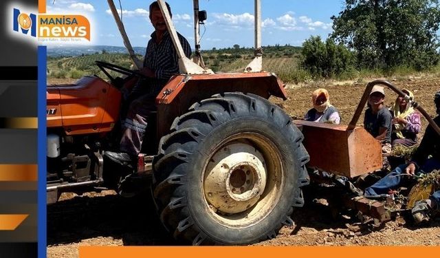 Kavurucu sıcakta ekmek mücadelesi