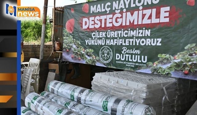 Manisa Büyükşehir’den çilek üreticilerine malç naylonu desteği