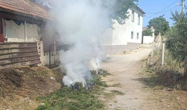 Anız ateşi felakete dönüşmeden söndürüldü