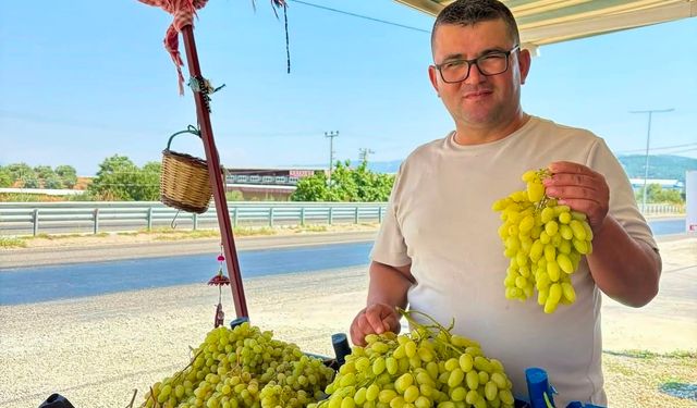 Yol üzerinde dalından sofraya