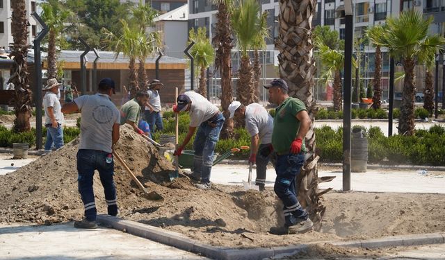 Muradiye'de yeşil dönüşüm
