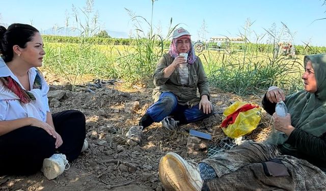 Başkan Aytaç üzüm hasadına katıldı: “Üreticimizin  gözü salkımda, kulağı TMO’da”