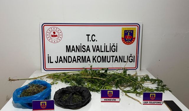 Manisa’da *y*şt*r*c* operasyonu: 1 kişi tutuklandı