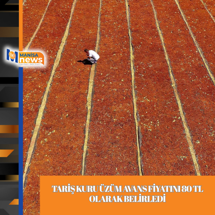 TARİŞ kuru üzüm avans fiyatını 80 TL olarak belirledi