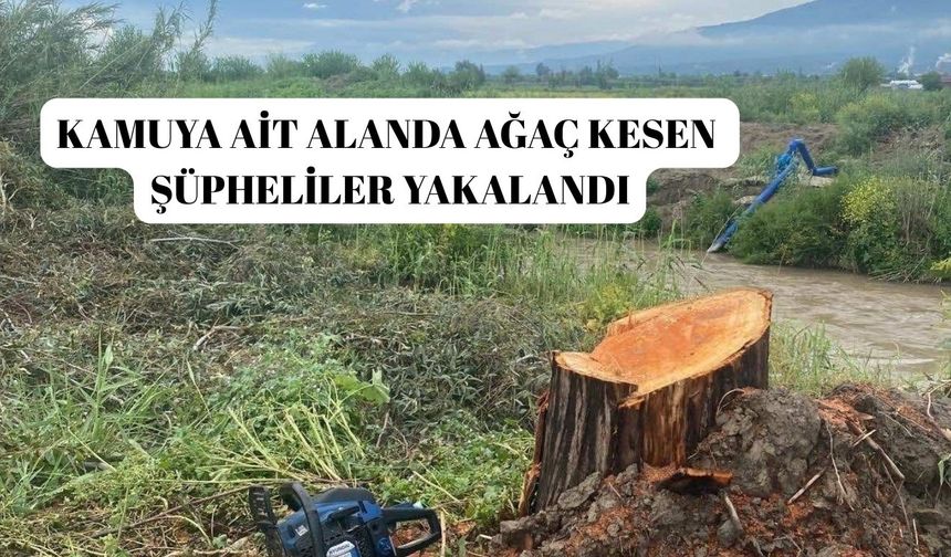 Kamuya ait alanda ağaç kesen şüpheliler yakalandı