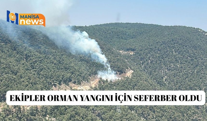Ekipler orman yangını için seferber oldu
