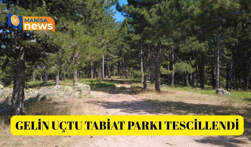Gelin Uçtu Tabiat Parkı tescillendi