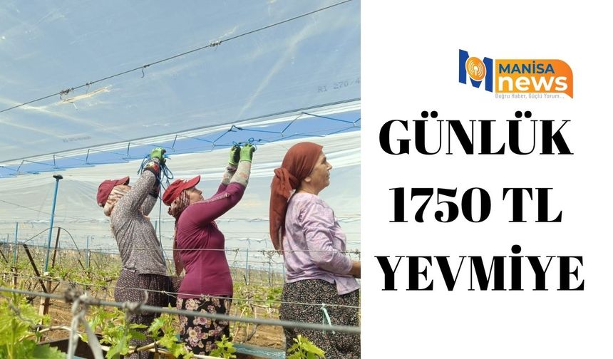 Günlük 1750 TL yevmiye