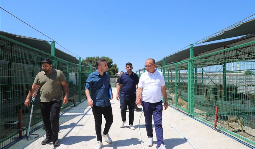 Başkan Akın’dan projelere yerinde inceleme
