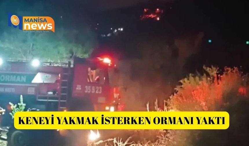 Keneyi yakmak isterken ormanı yaktı