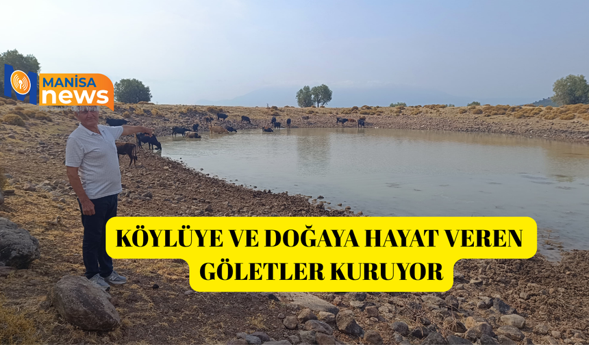 Köylüye ve doğaya hayat veren göletler kuruyor