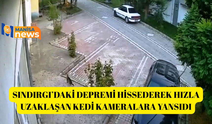 Sındırgı’daki depremi hissederek hızla uzaklaşan kedi kameralara yansıdı