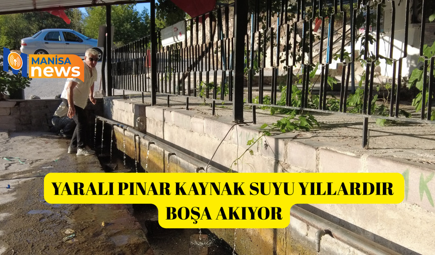 Yaralı Pınar kaynak suyu yıllardır boşa akıyor