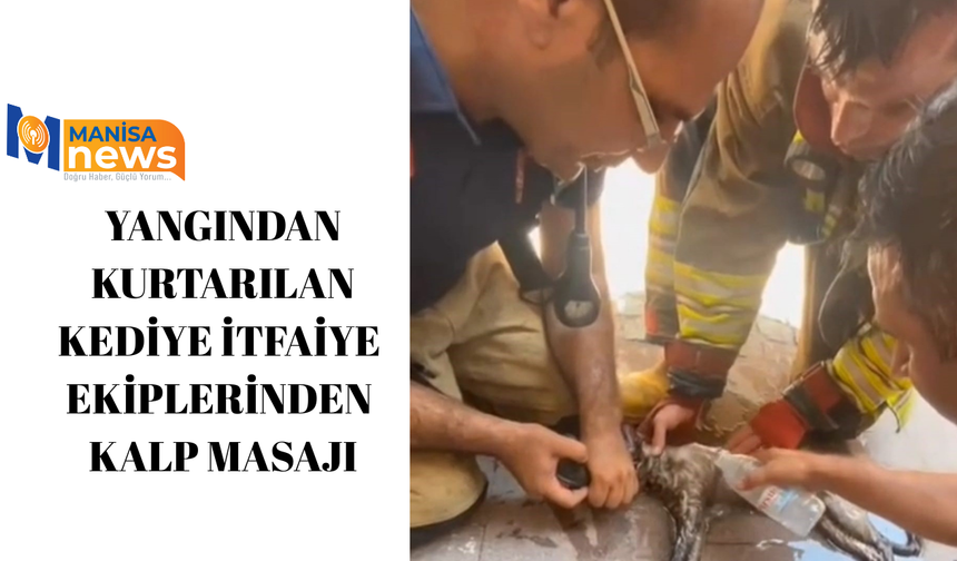 Yangından kurtarılan kediye itfaiye ekiplerinden kalp masajı