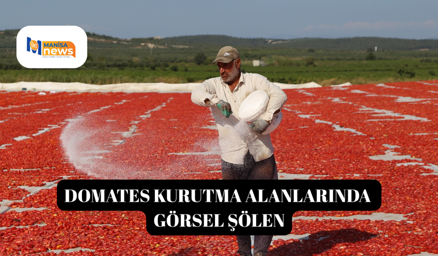 Domates kurutma alanlarında görsel şölen