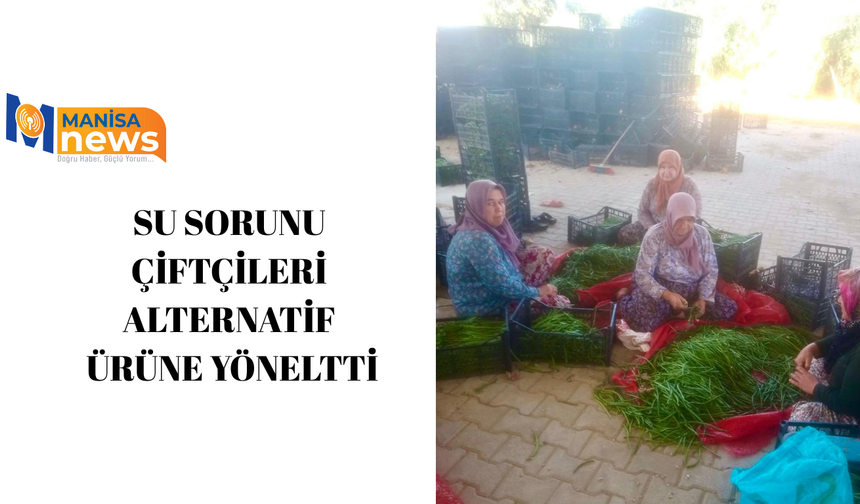 Su sorunu çiftçileri alternatif ürüne yöneltti
