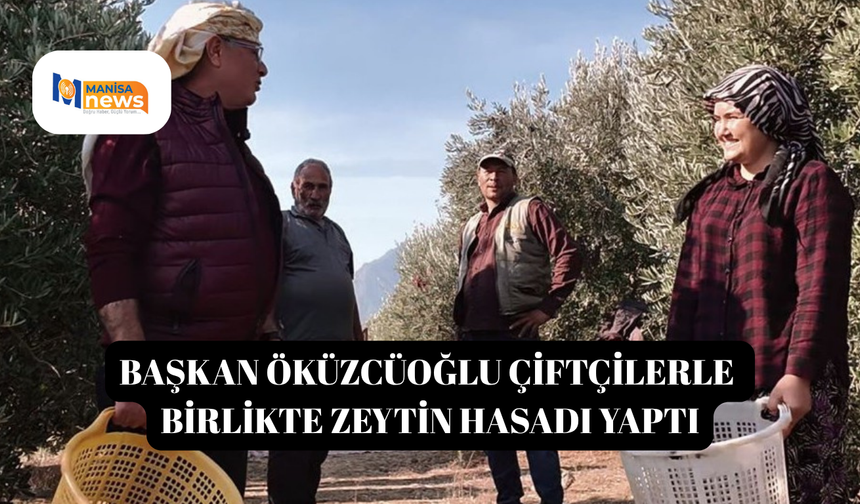 Başkan Öküzcüoğlu çiftçilerle birlikte zeytin hasadı yaptı