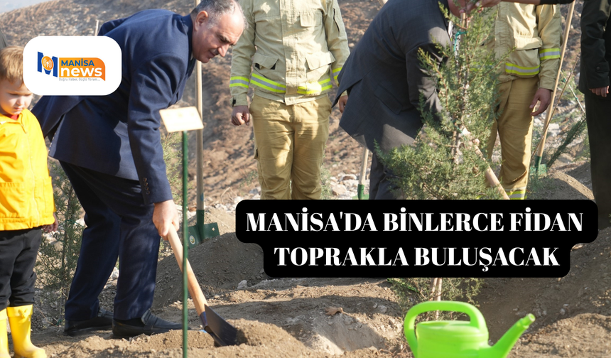 Manisa'da binlerce fidan toprakla buluşacak
