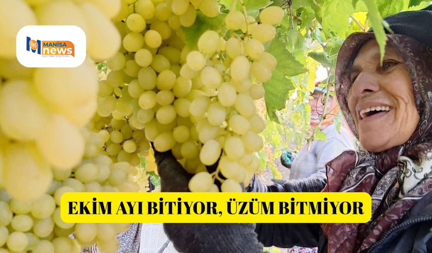 Ekim ayı bitiyor, üzüm bitmiyor