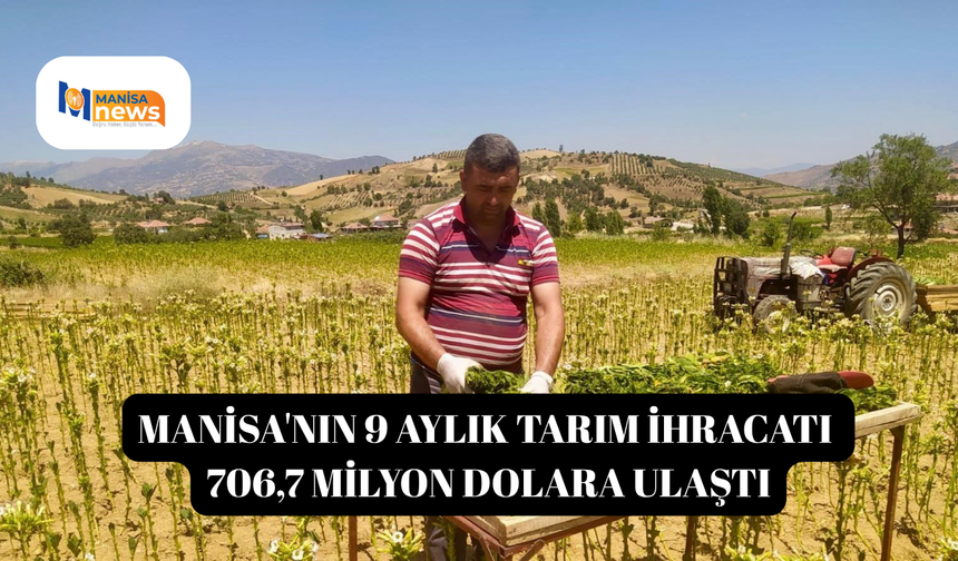 Manisa'nın 9 aylık tarım ihracatı 706,7 milyon dolara ulaştı