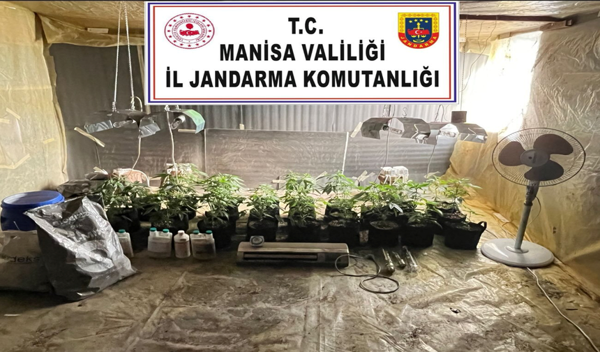 Evine kurduğu iklimlendirme sistemiyle kenevir yetiştirirken yakalandı